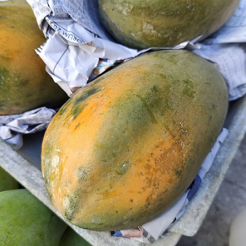 Đu đủ vàng 1 trái